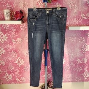 Democracy Indigo Skinny Jeans